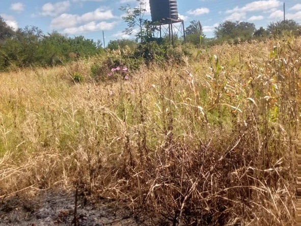 Farm & Agricultural Land