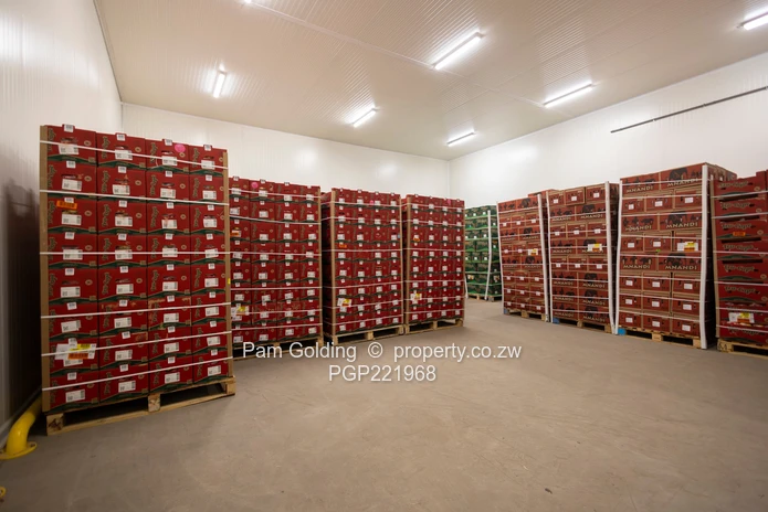 Prime Freight Forwarding Logistics Hub for Sale – Adjacent to Robert Gabriel Mugabe  Airport  (Sole Mandate)