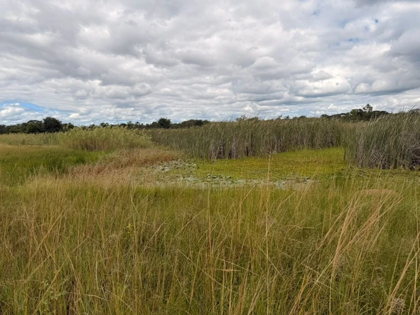 Farm & Agricultural Land