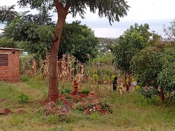 Stands & Residential Land