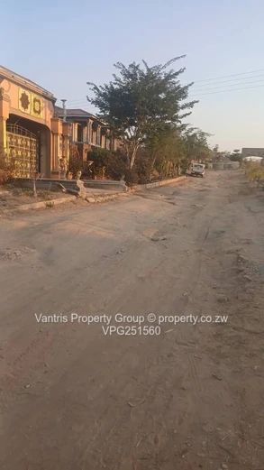 Palm village stands for sale !!!!