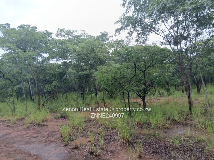 Ngezi plots Along Battlefields road for sale (Sole Mandate)