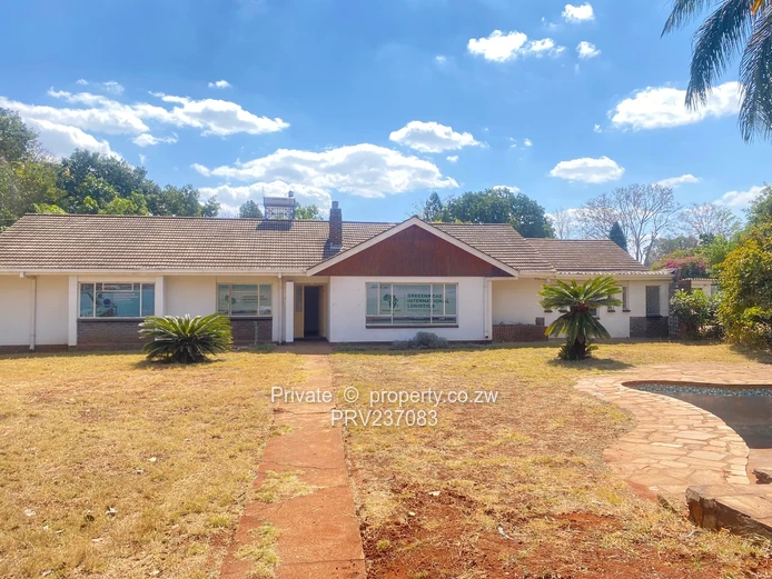 Connivence Connivence ! Absolute Gem For Brand  (Sole Mandate)