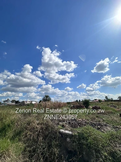 Glenview stands for sale 