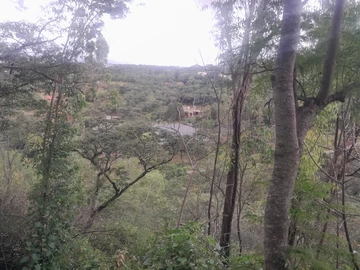 Commercial & Industrial Land