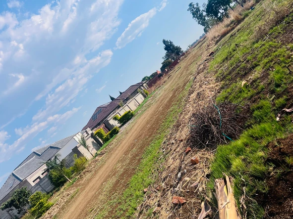 Stands & Residential Land