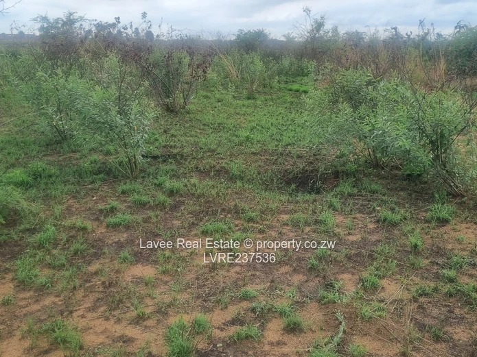 Spitzkop stand for sale 