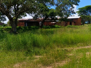 Farm & Agricultural Land