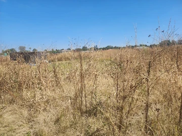 Stands & Residential Land