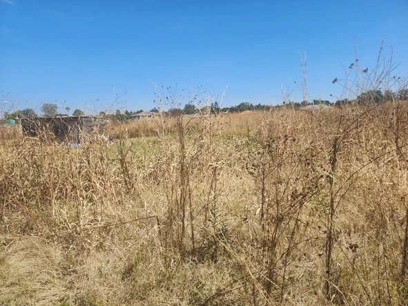 Stands & Residential Land