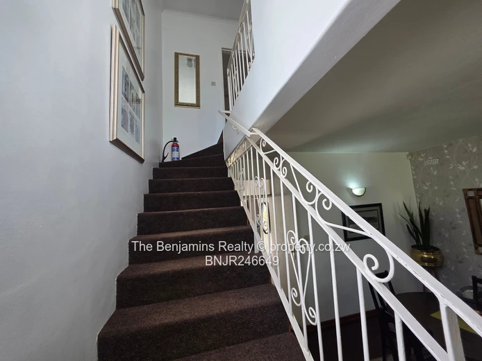 Fully Furnished Garden Flat In Avondale