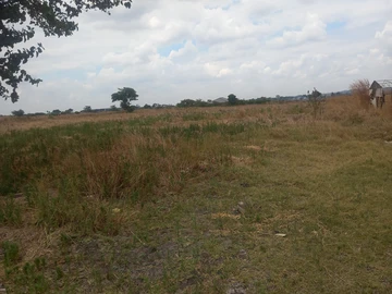 Farm & Agricultural Land