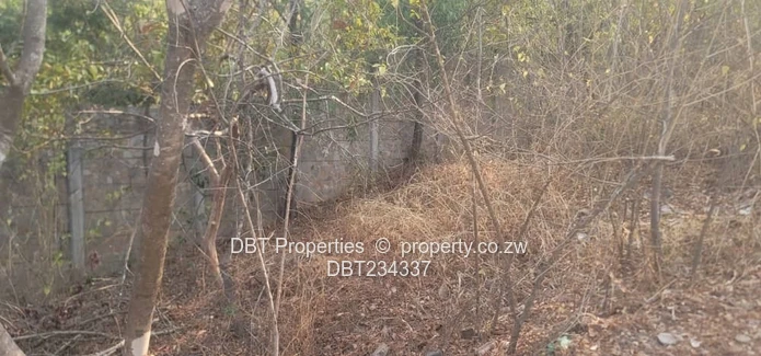 5200m² Glen Lorne Stand — Elevated Wooded Retreat