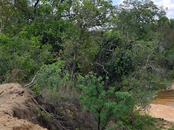 Farm & Agricultural Land