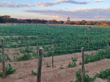 Farm & Agricultural Land