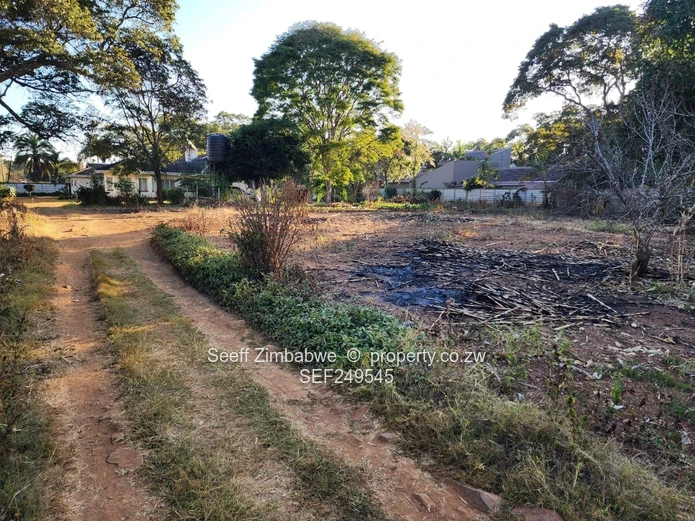 Prestigious Windmill Lane: Premier 2,800sqm Subdivision Stand with Income Cottage