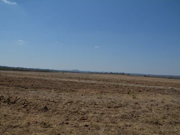 Farm & Agricultural Land