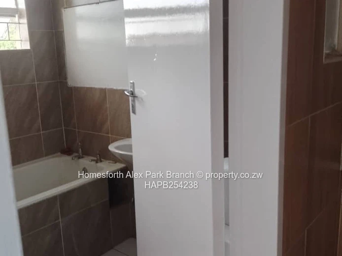 An investment opportunity...