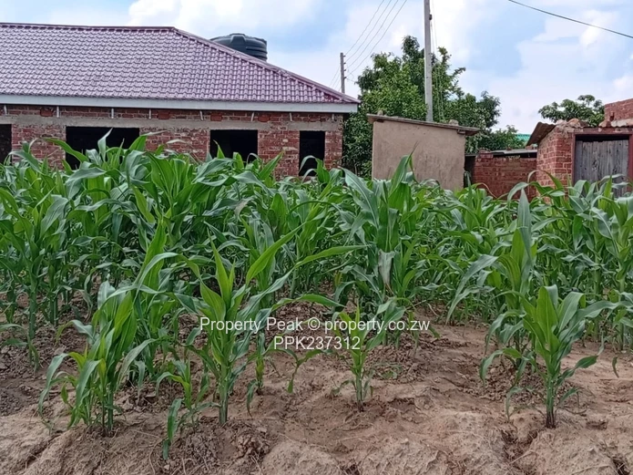 Budiriro 4 Corner Stand For Sale