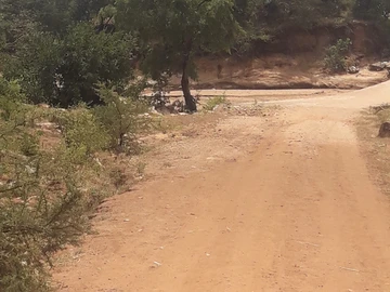 Farm & Agricultural Land