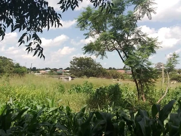 Commercial & Industrial Land