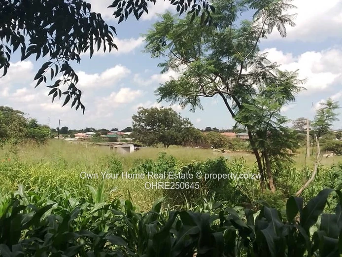 Amalinda Road Commercial Stand 
