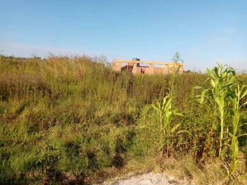 Commercial & Industrial Land