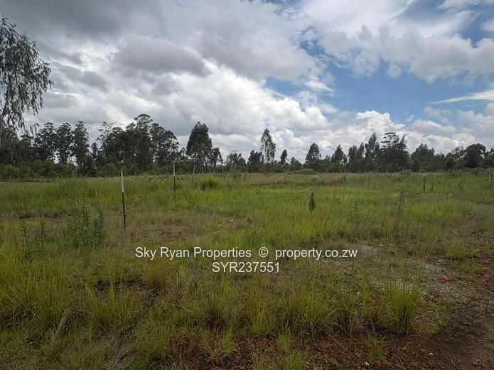 Mount Hampden Industrial stands for sale 