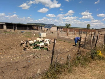 Farm & Agricultural Land