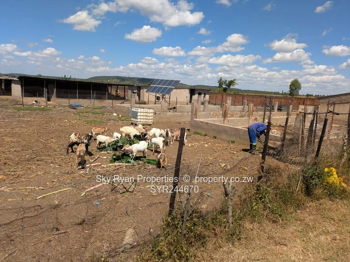 Norton Turnkey Farm For Sale