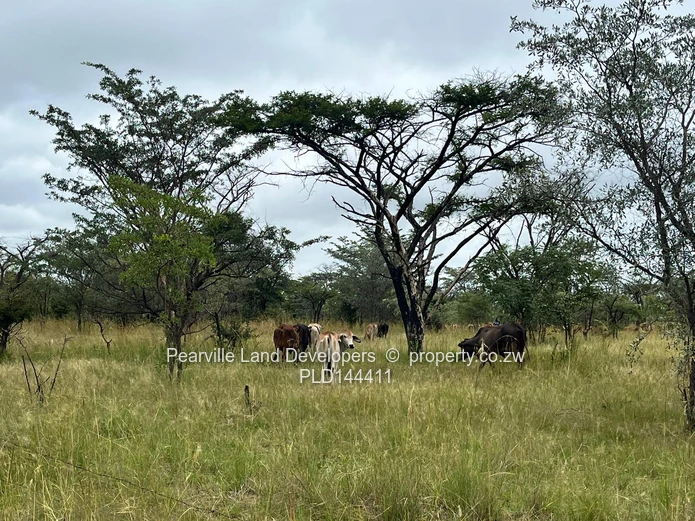 20-23ha agro-residential land,3km from the Masvingo Rd