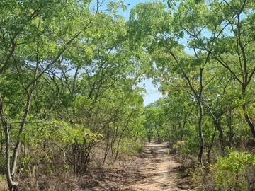 Farm & Agricultural Land