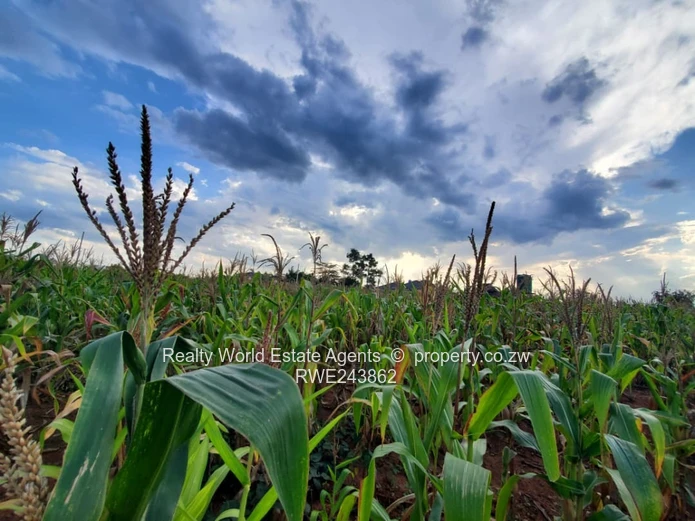 For Sale: Residential Stand in Haydon Park, Harare