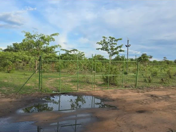 Prime Commercial Land in Kadoma: 1.96 Hectares with Key Utilities!