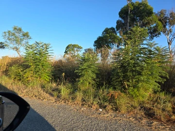 Commercial & Industrial Land