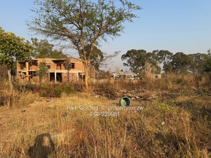 Arlington Low Density Stand For Sale