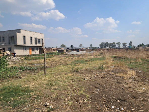 Stands & Residential Land