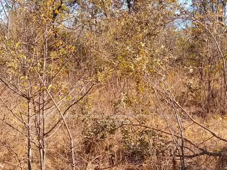 Chegutu Plots
