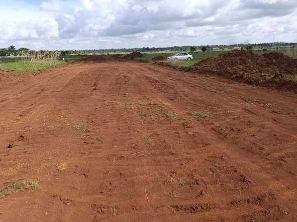 Stands & Residential Land