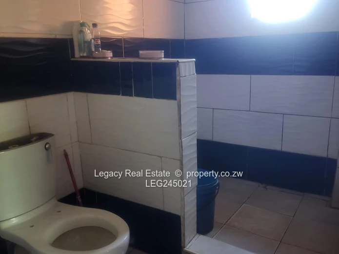 Large Stand With Incomplete House & Cottage For Sale