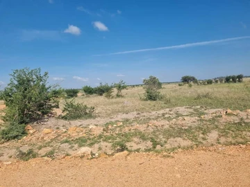 Farm & Agricultural Land