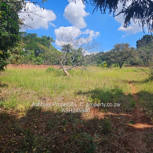 Prime Investment Opportunity in Mandara (Sole Mandate)