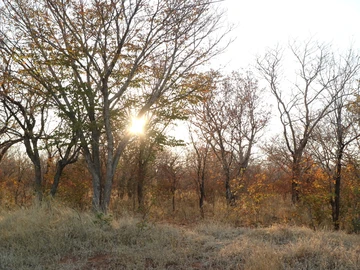 Commercial & Industrial Land