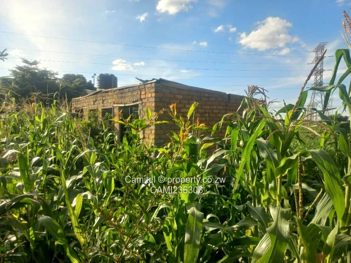 300m² Stand for Sale in Granary Park — Secure, Serviced (Sole Mandate)