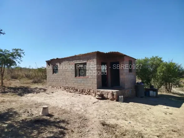 Farm & Agricultural Land