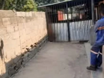 Shop & Retail Property