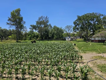 Farm & Agricultural Land