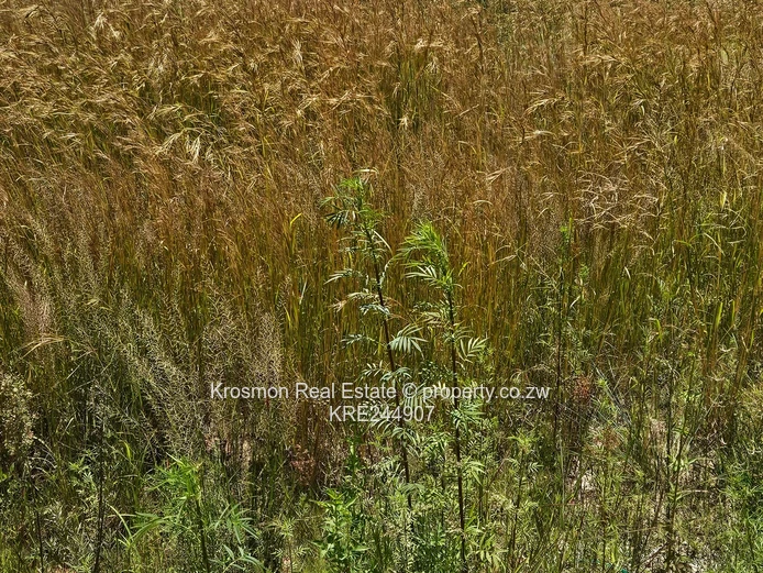 Lendy view park,Marondera 2,154m² Stand — Main Road Frontage, Subdividable