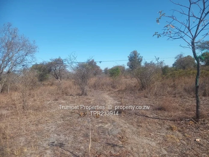 3ha Arable & Grazing Farm with Brick Shell — Marondera (Sole Mandate)