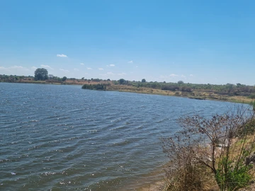 Farm & Agricultural Land